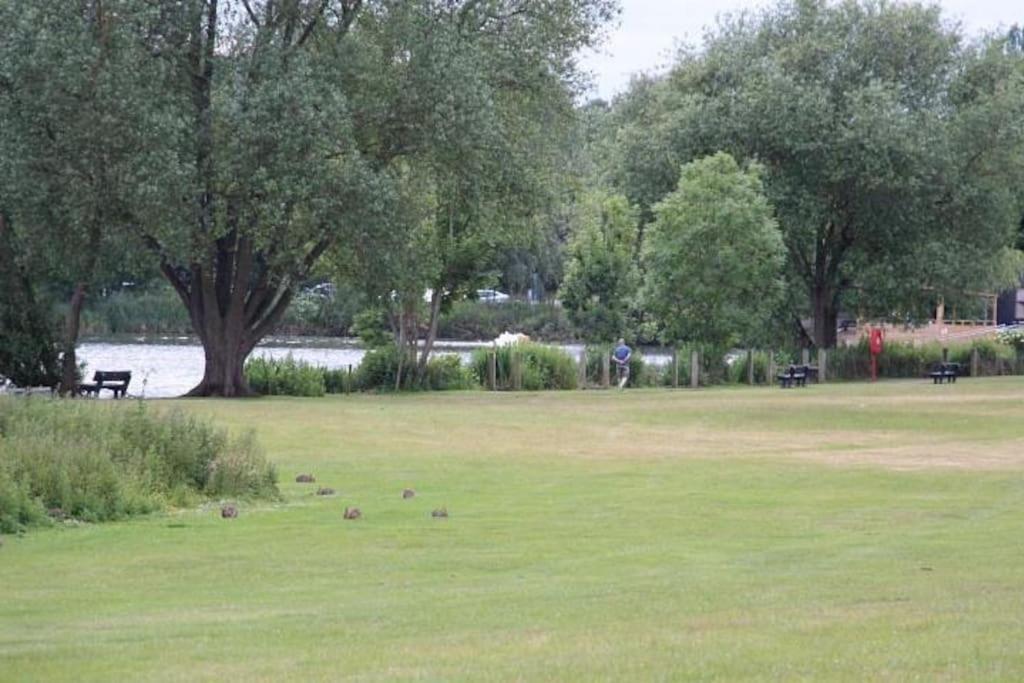 The Cabin Welwyn Garden City Bagian luar foto